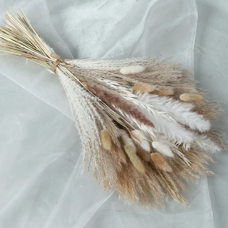 image_14