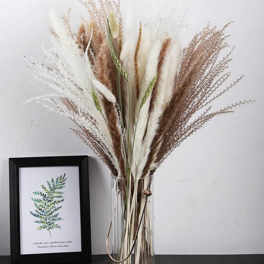 80PCS Natural Dekoration Pampas Grass Bouquet Boho Home Decor  Phragmites Dried Flowers For Wedding Ramadan Decoration Chambre